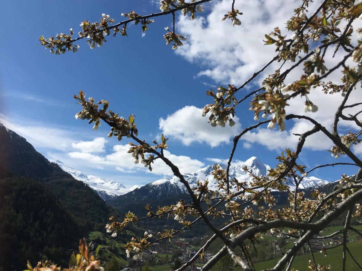 Anraitl Appartements Soelden 外观 照片